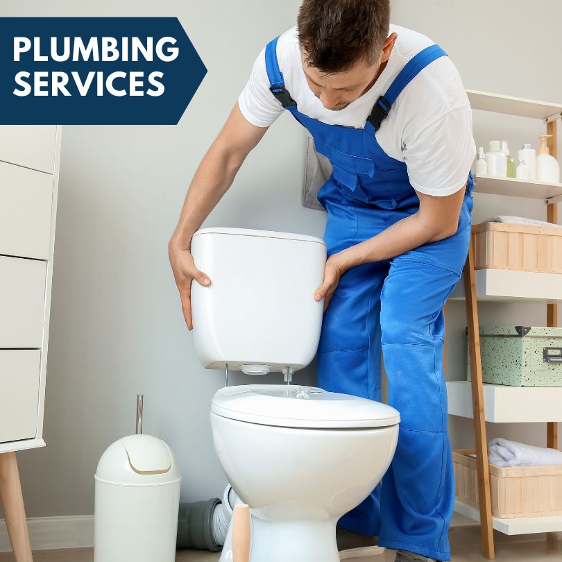 Plumbing Company in Houstonia, MO